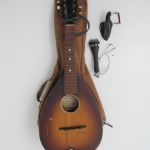 407 9006 Mandolin